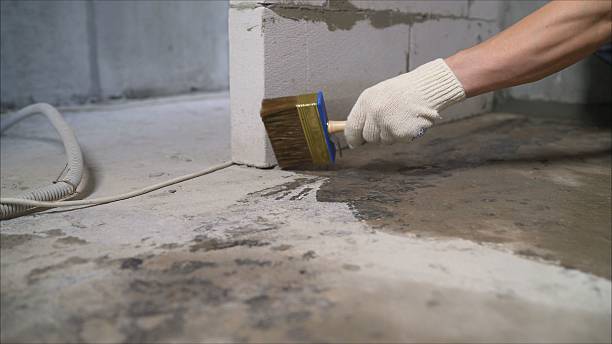 SJ Waterproofing Pros Crawl Space Encapsulation coverage map for Nunda, NY and surrounding area